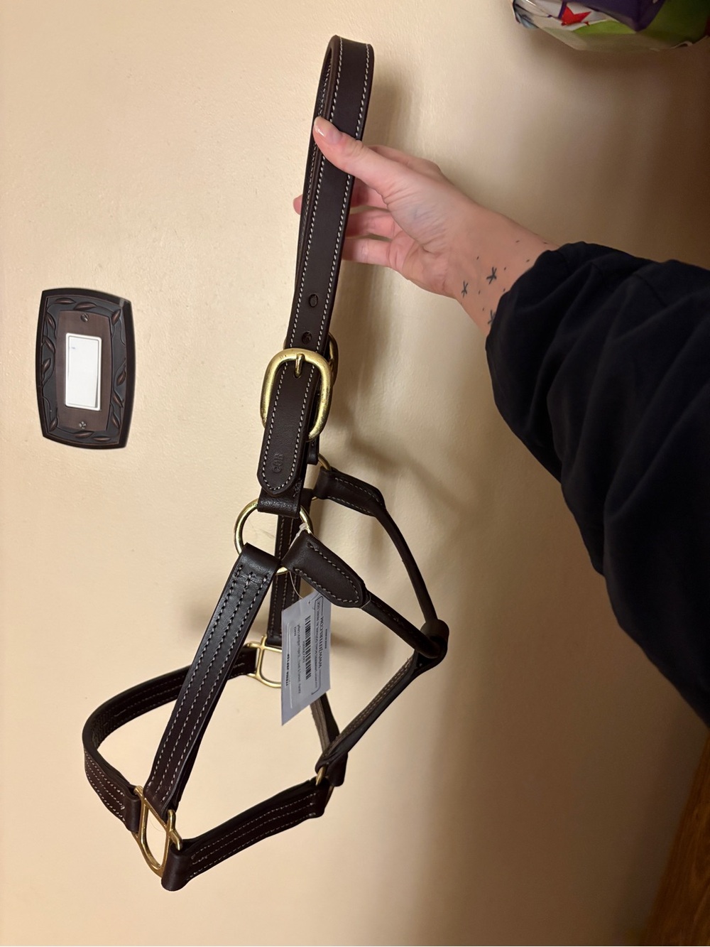 Jeffers Cob Size Leather Halter Triple Stitched. Equine/Equestrian Tack.